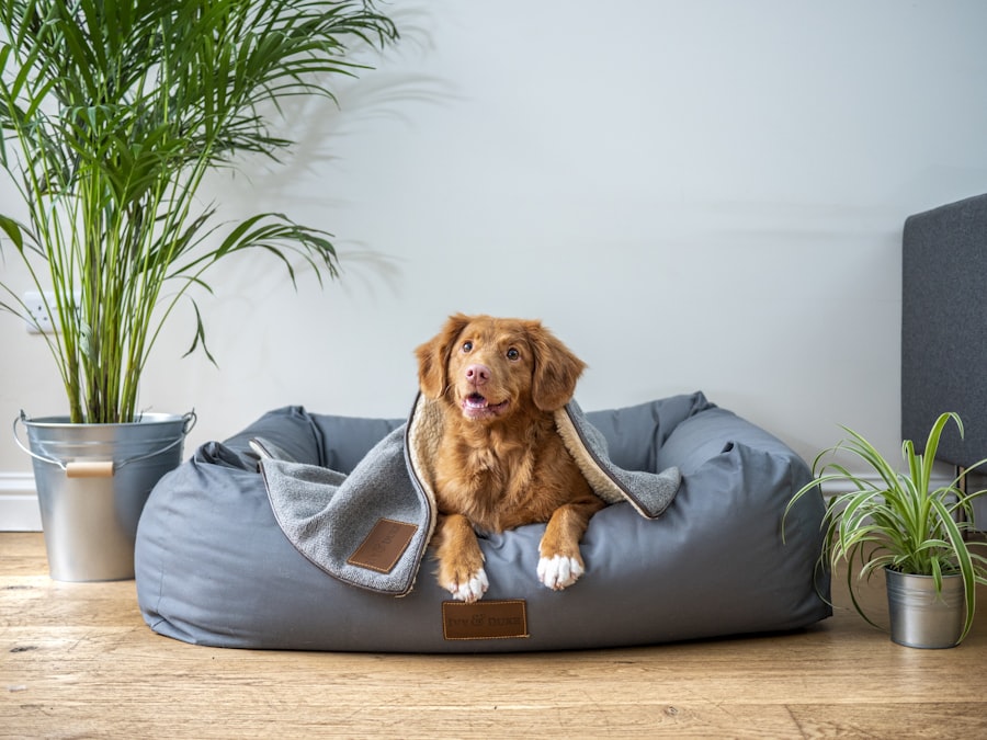 Beds & Furniture