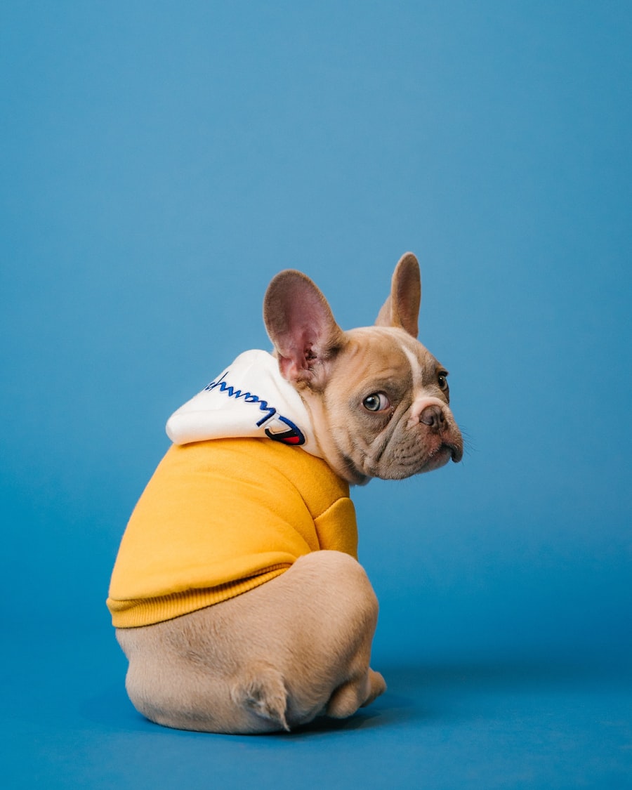 Monthly pet-supplies trends report preview