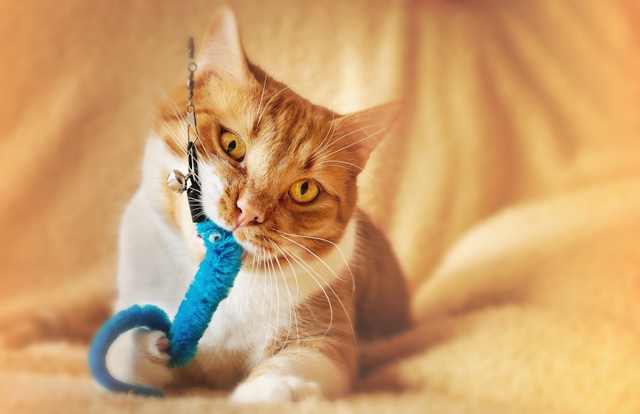 Juguetes para gatos