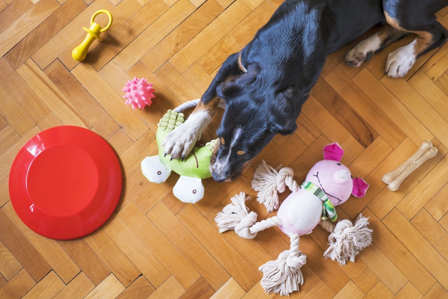 Jouets pour chiens