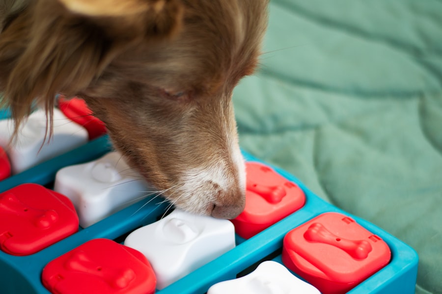 Pet Toys