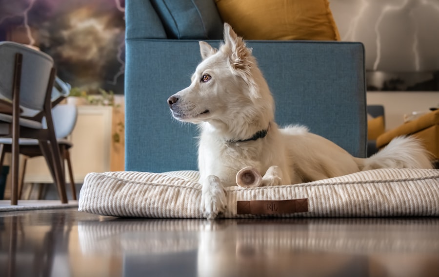 Couchages et tapis pour chiens