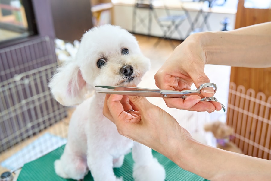 Grooming Tools